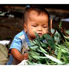 faces of myanmar X