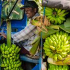 Faces of Sri Lanka (6 ) - Bananenexpress ...