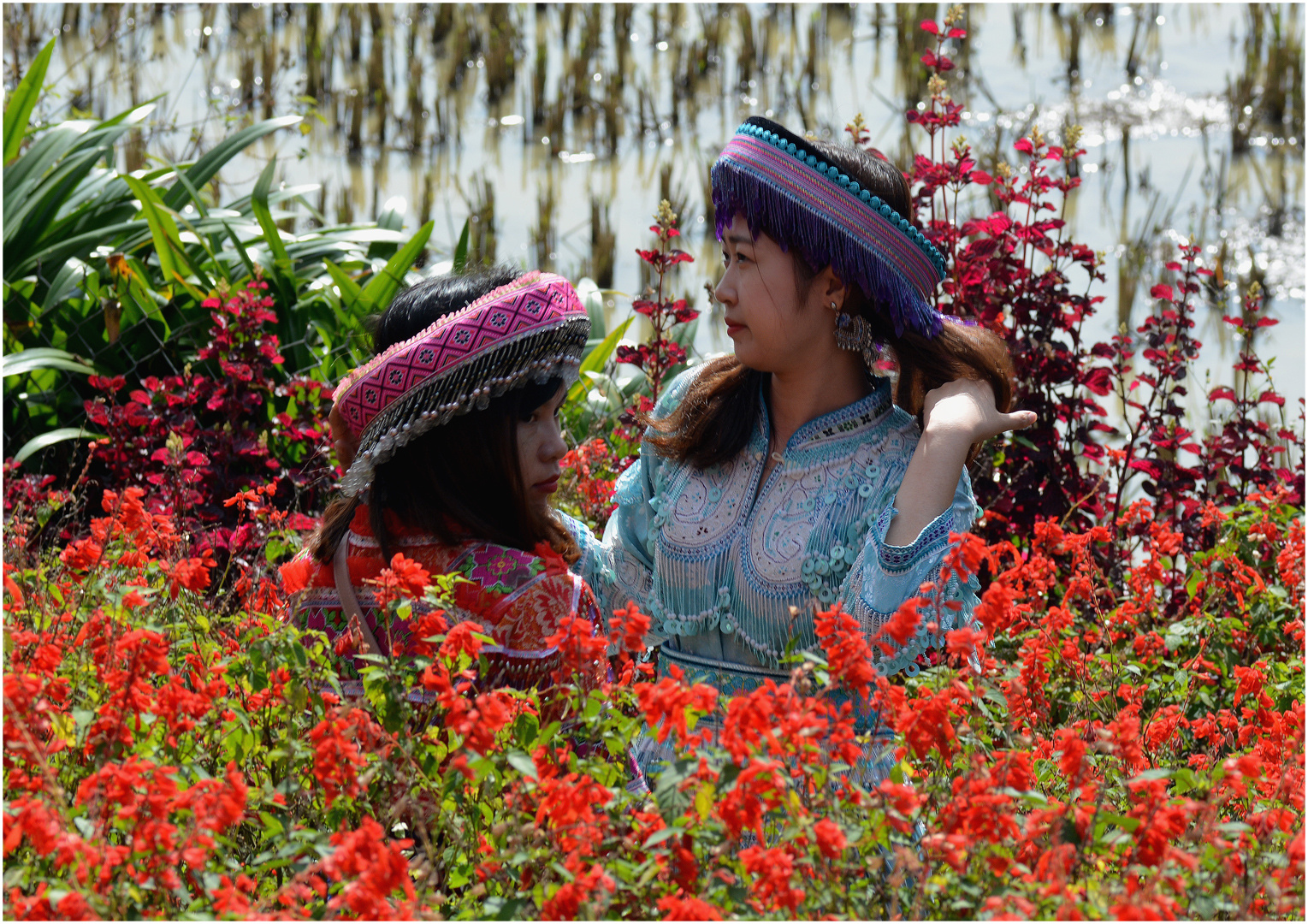 Faces of Vietnam (XVIII)