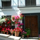 fachada de casa de pueblo andaluz.