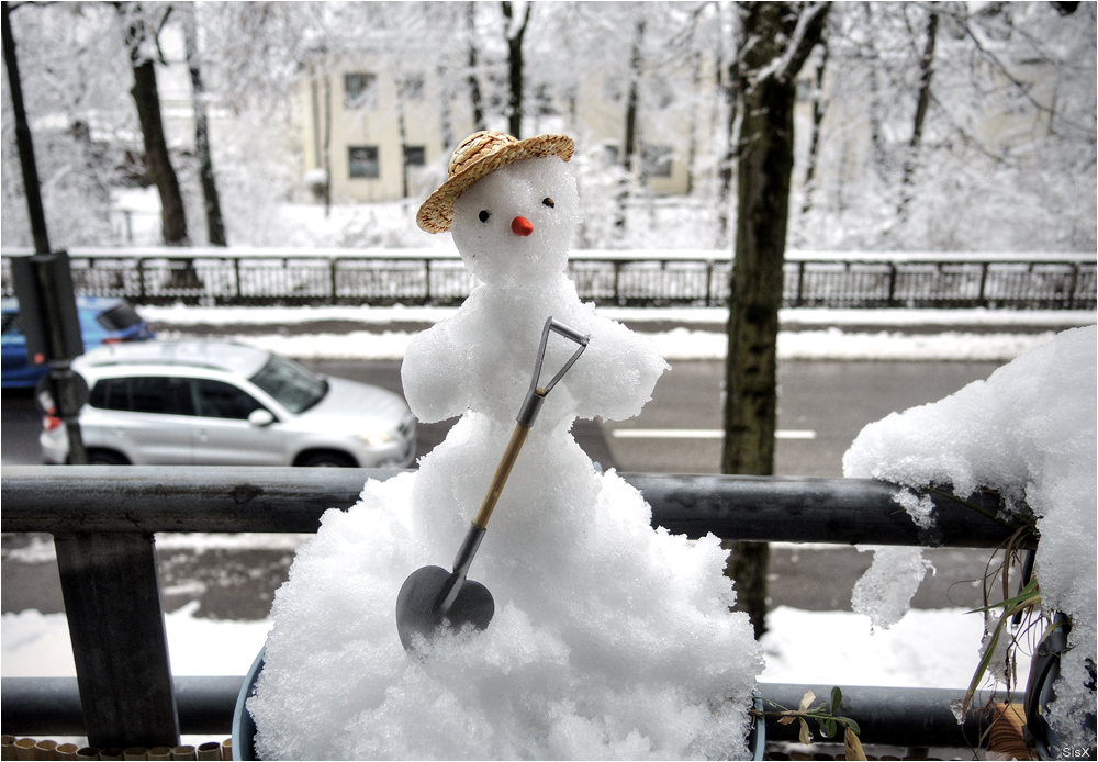 Fachmann fürs Schneeschippen