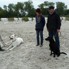 Fachsimpeln am Strand