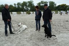 Fachsimpeln am Strand