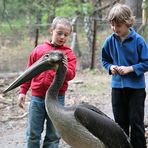 Fachsimpeln zukünftiger Zoologen