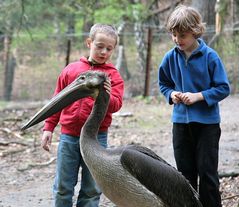 Fachsimpeln zukünftiger Zoologen