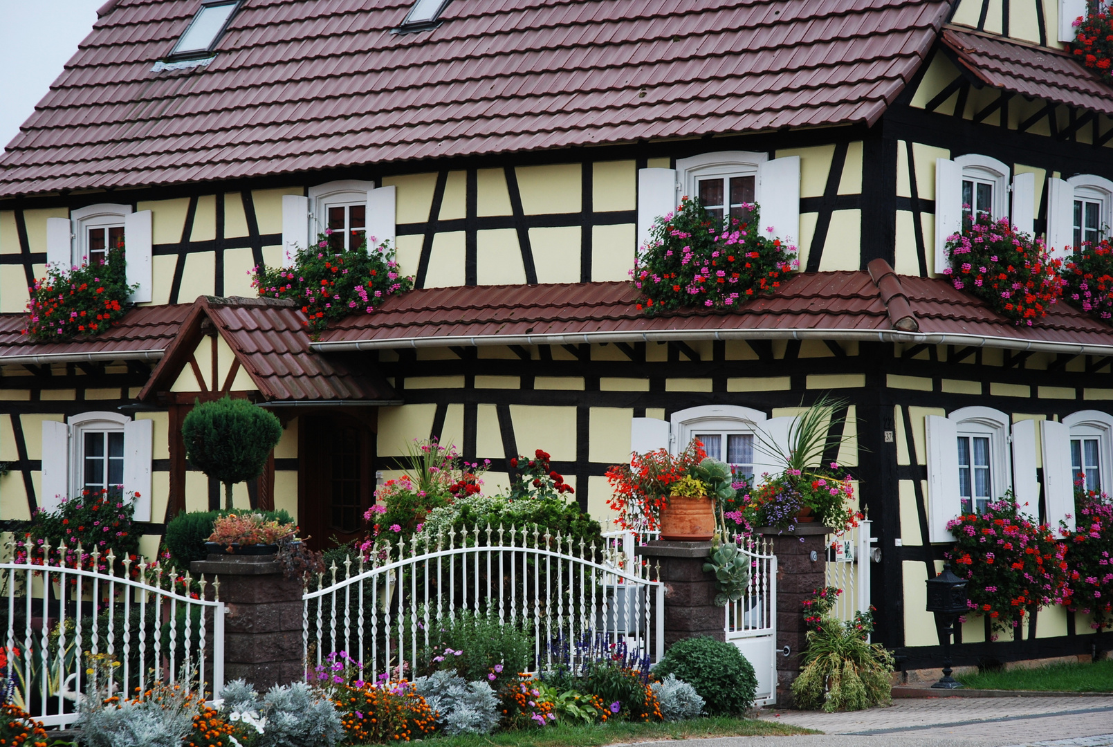 Fachwerk & blühende Sommerträume