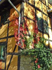 Fachwerk im Herbst (Quedlinburg)