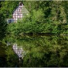 Fachwerk im Teichspiegel           .....im Tiergarten 1