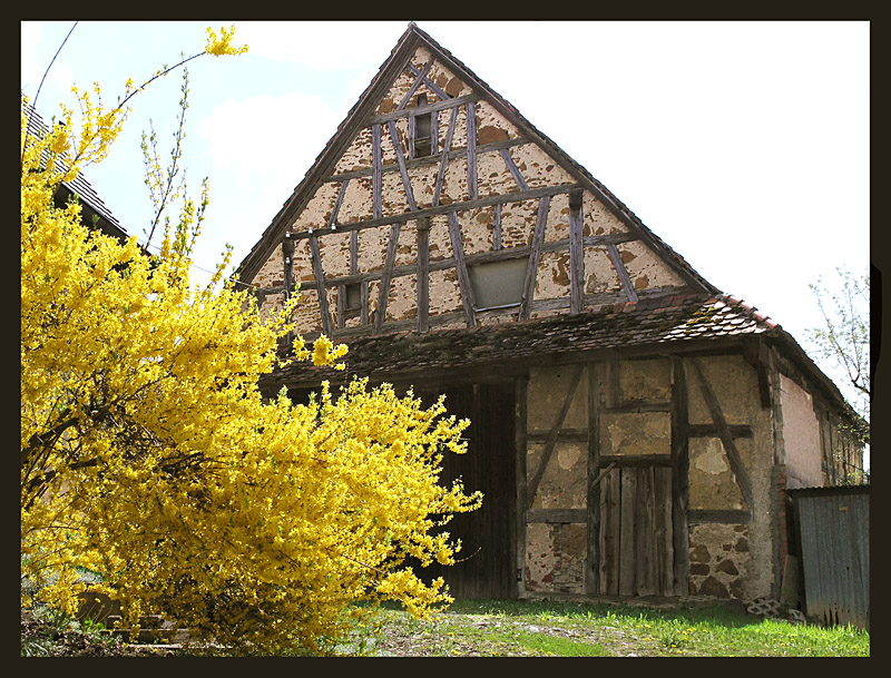 Fachwerk in Forchheim