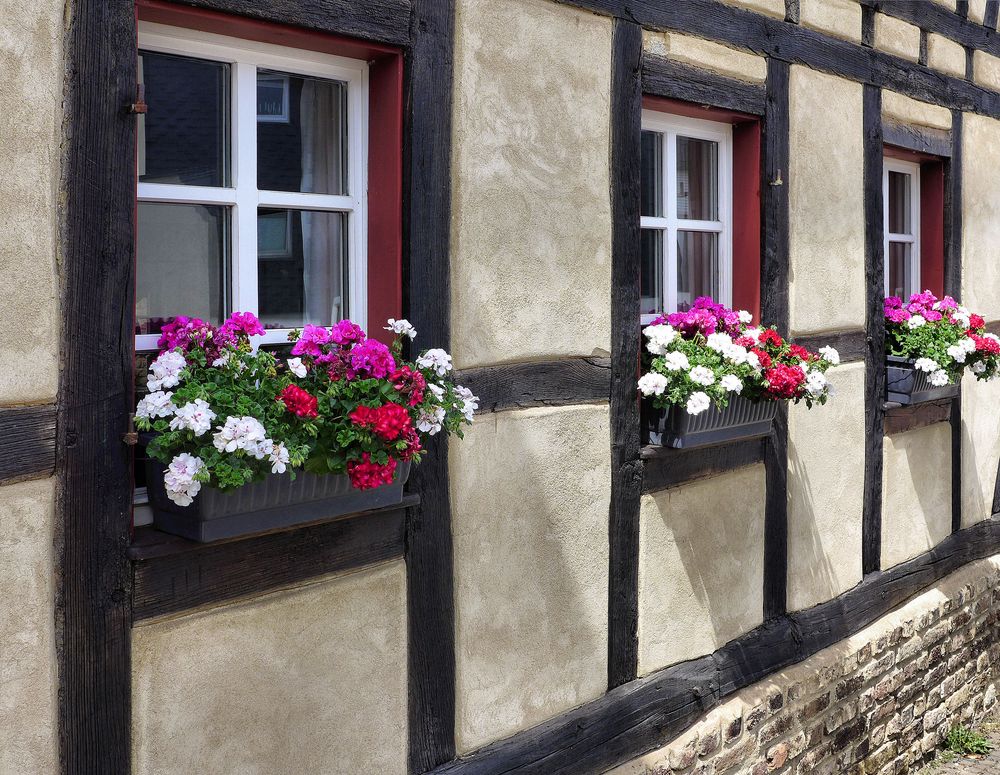 Fachwerk und Blumen