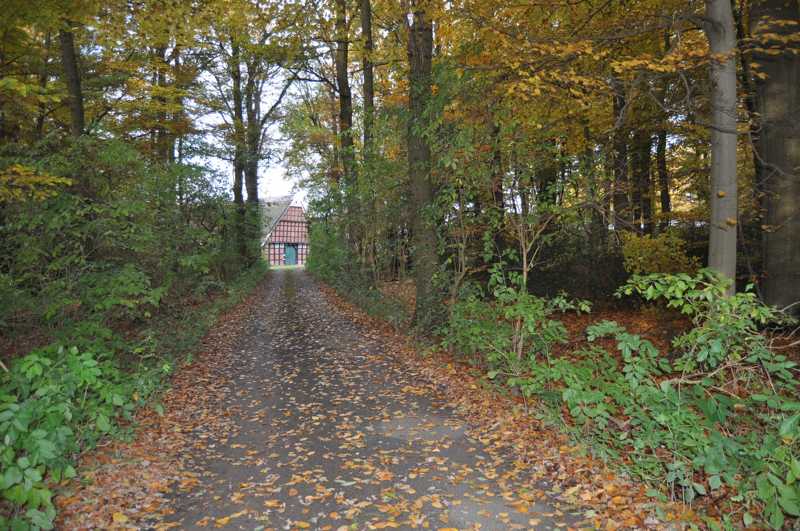 Fachwerkgiebel in Niedersachsen- Südoldenburg -