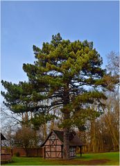 Fachwerkhäuschen im Park