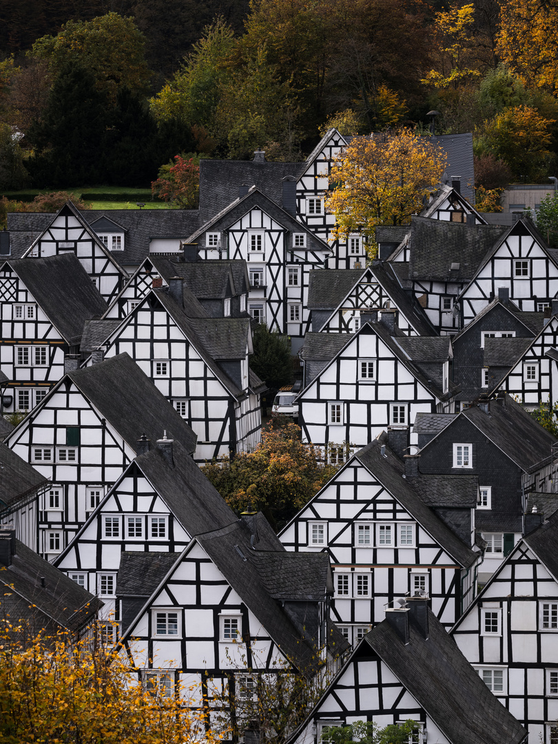 Fachwerkhäuser in Freudenberg