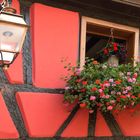 Fachwerkhaus -Detail mit Blumenschmuck