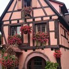 Fachwerkhaus im Elsass