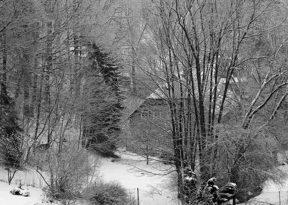 Fachwerkhaus im Garten