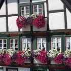 Fachwerkhaus in der Arnsberger Altstadt mit Blumenschmuck