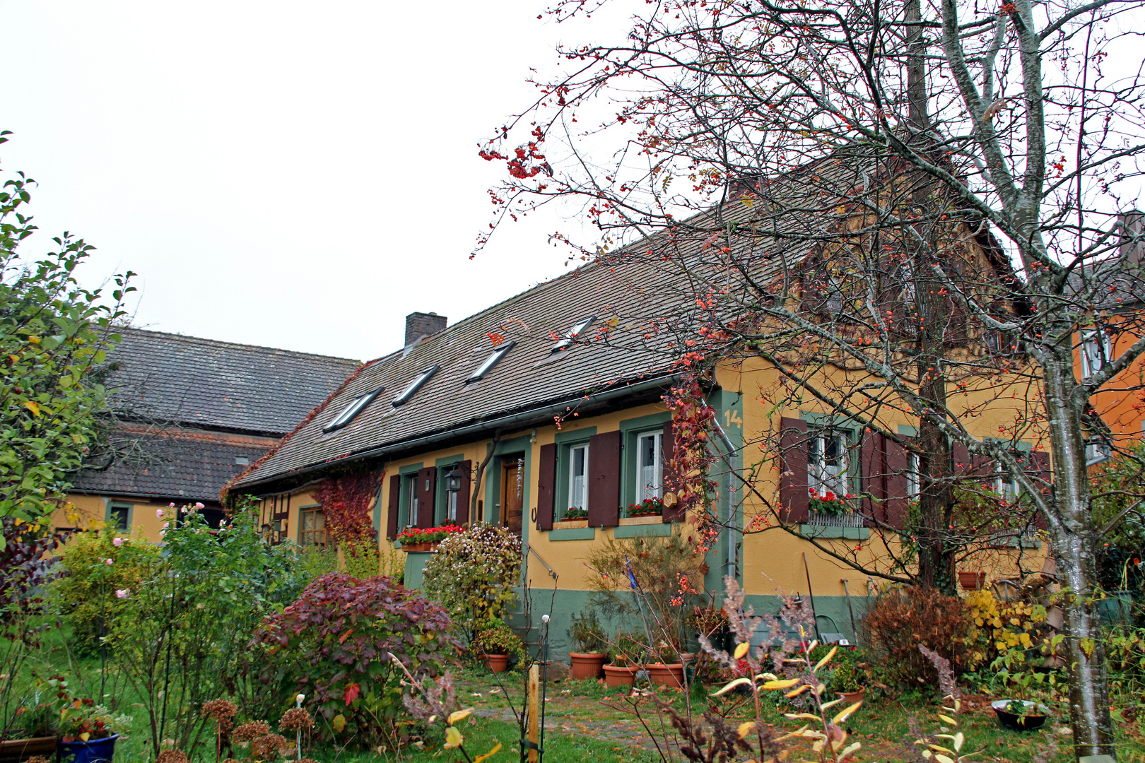 Fachwerkhaus Natur pur Garten in Rothenburg ob der Tauber Foto & Bild