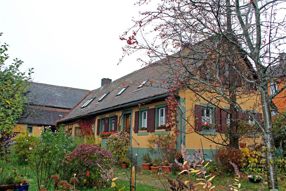Fachwerkhaus Natur pur Garten in Rothenburg ob der Tauber Foto & Bild
