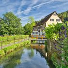 Fachwerkromantik an der Trubach in Egloffstein