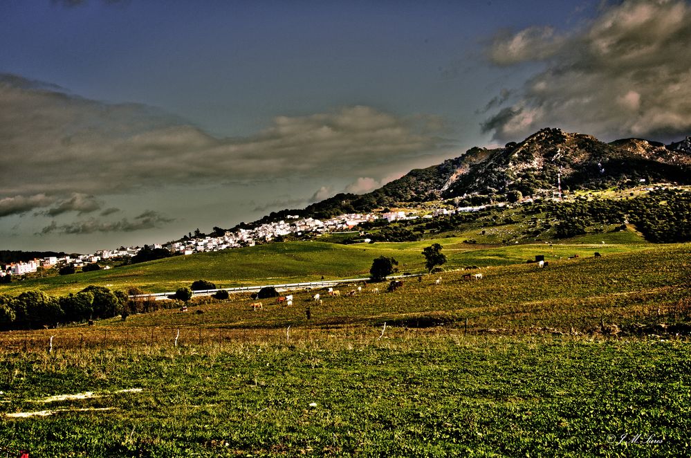 Facinas ( Cádiz)