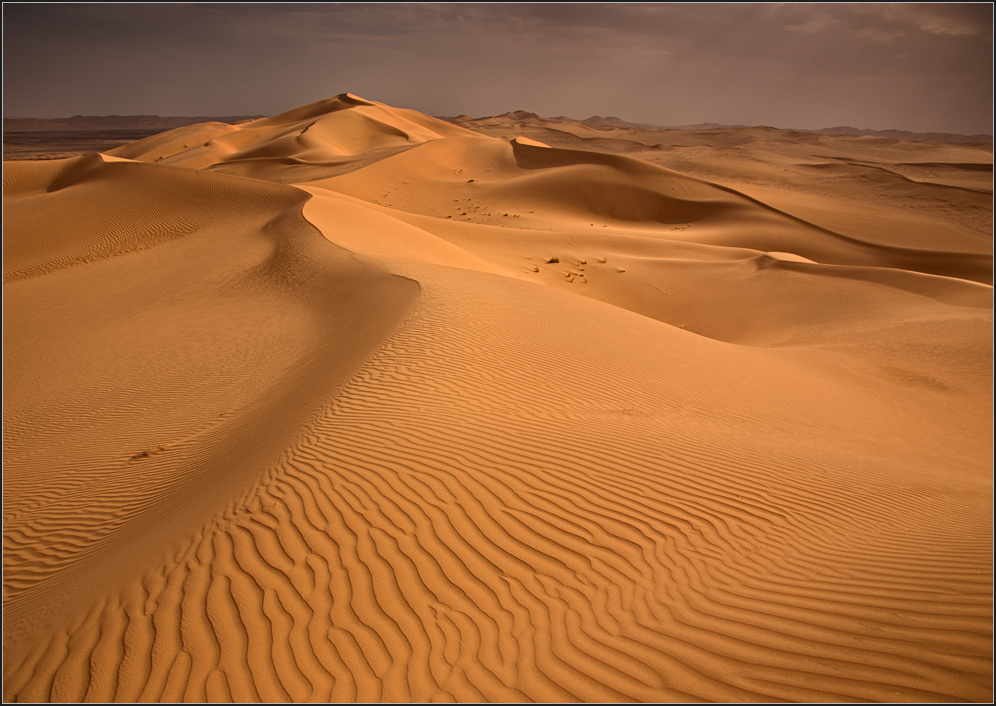 Facing The Sandstorm