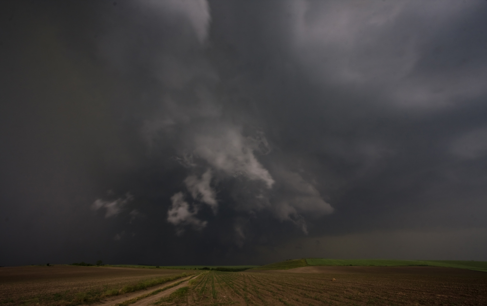 Facing the storm