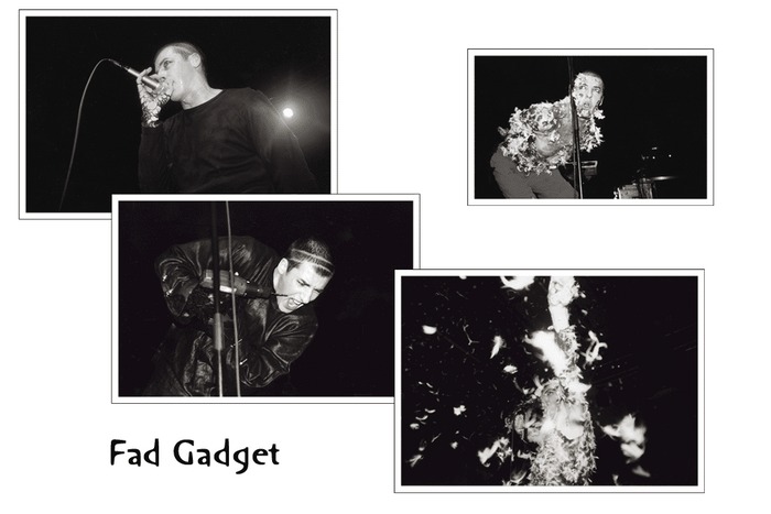 Fad Gadget