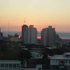 Faded Asuncion