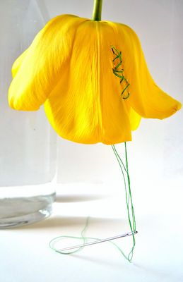 "fadenscheinig" (reloaded)