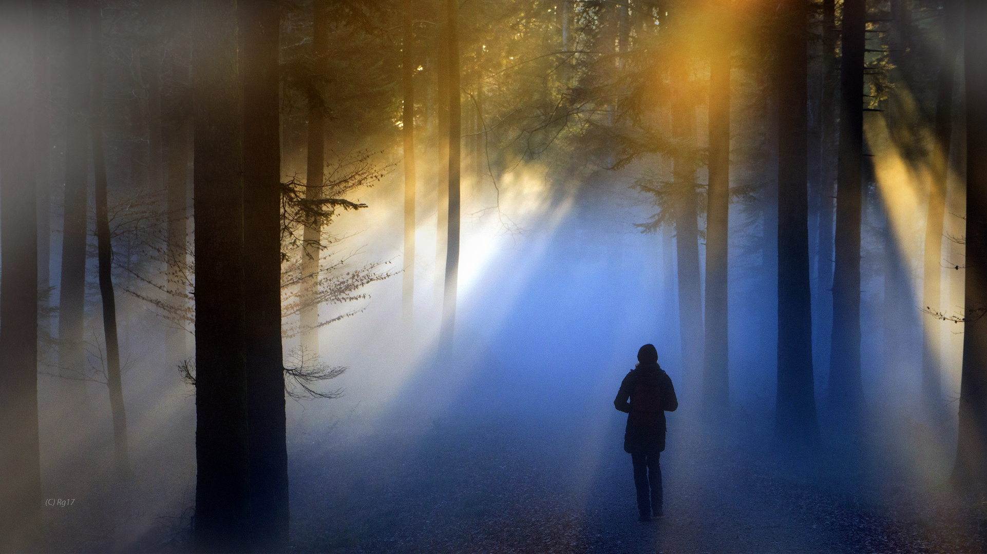 fading lights Foto & Bild mystische orte, specials, nebel Bilder auf