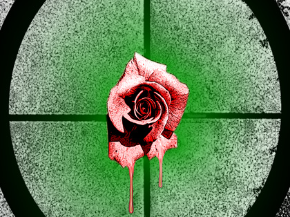 Fading The Rose...