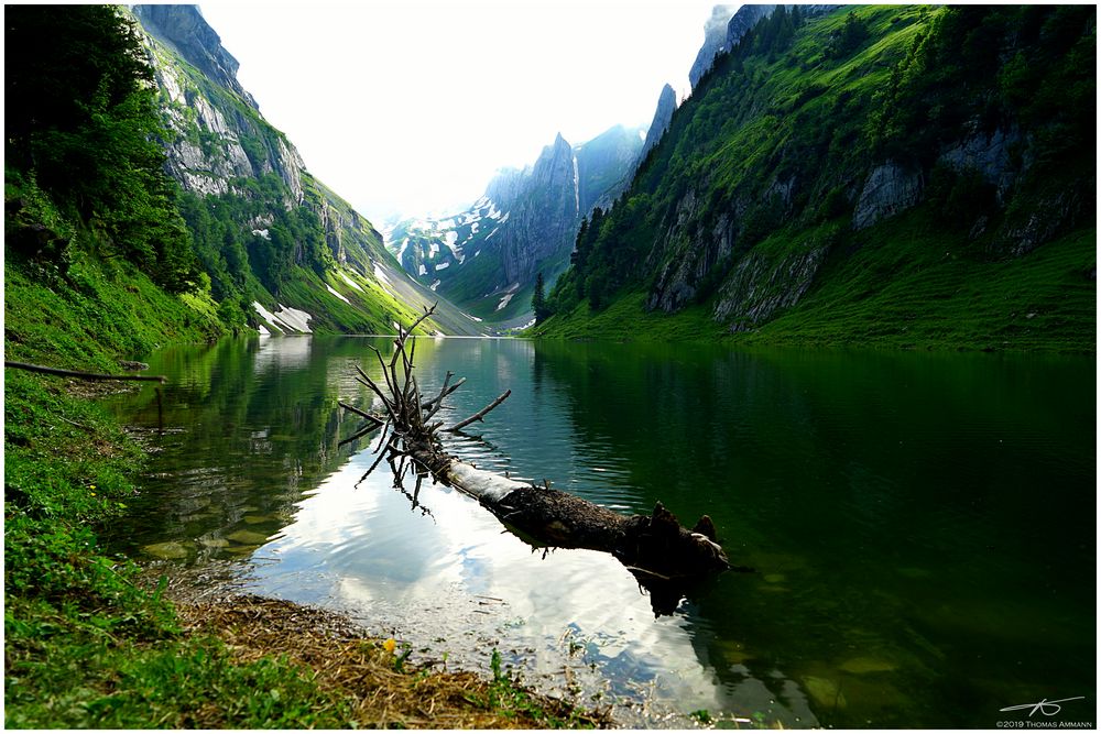 Fählensee#1_190623