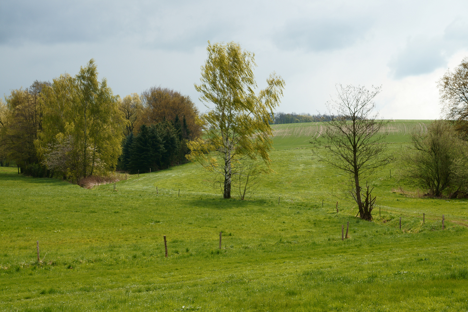 Fähnchen im Wind