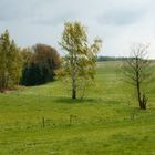 Fähnchen im Wind