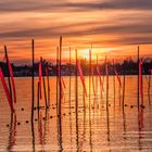 Fähnchen im Wind