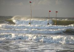 Fähnchen im Wind