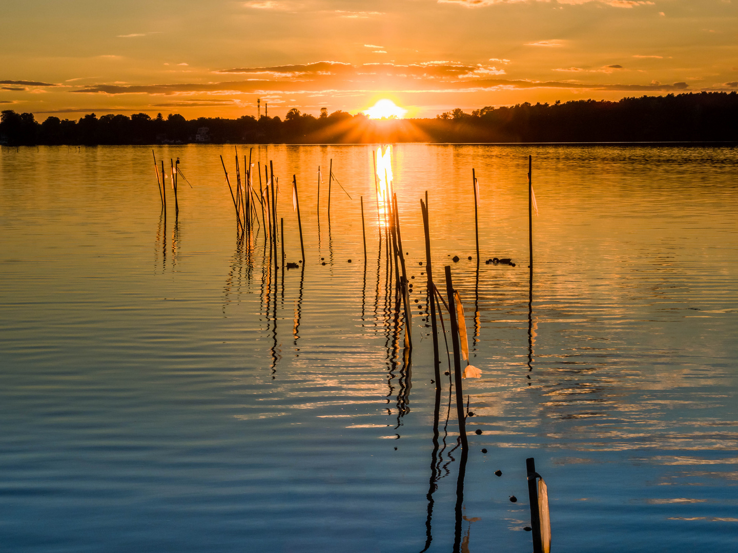 Fähnchen in der Abendsonne