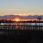 Fähranleger Tesperhude am Abend