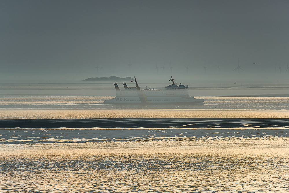 Fähre im morgendlichem Nebel