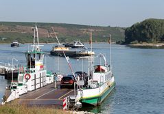 Fähre  Landskrone  - Kornsand / Nierstein-