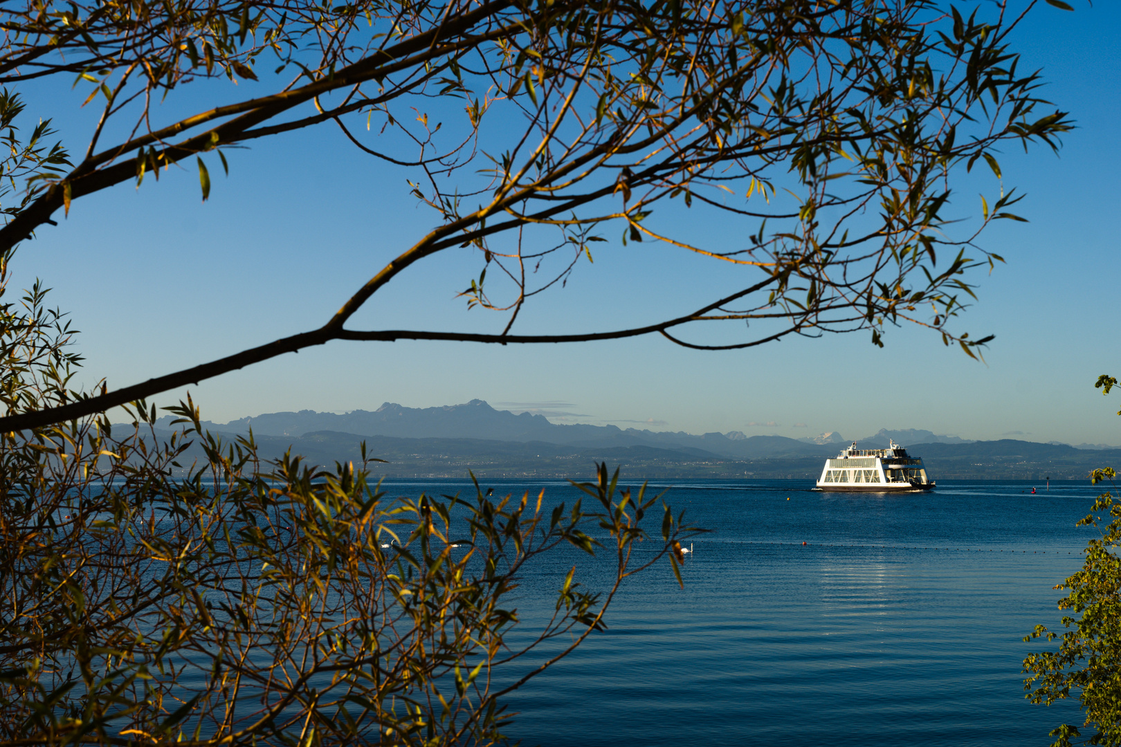 Fähre nach Friedrichshafen