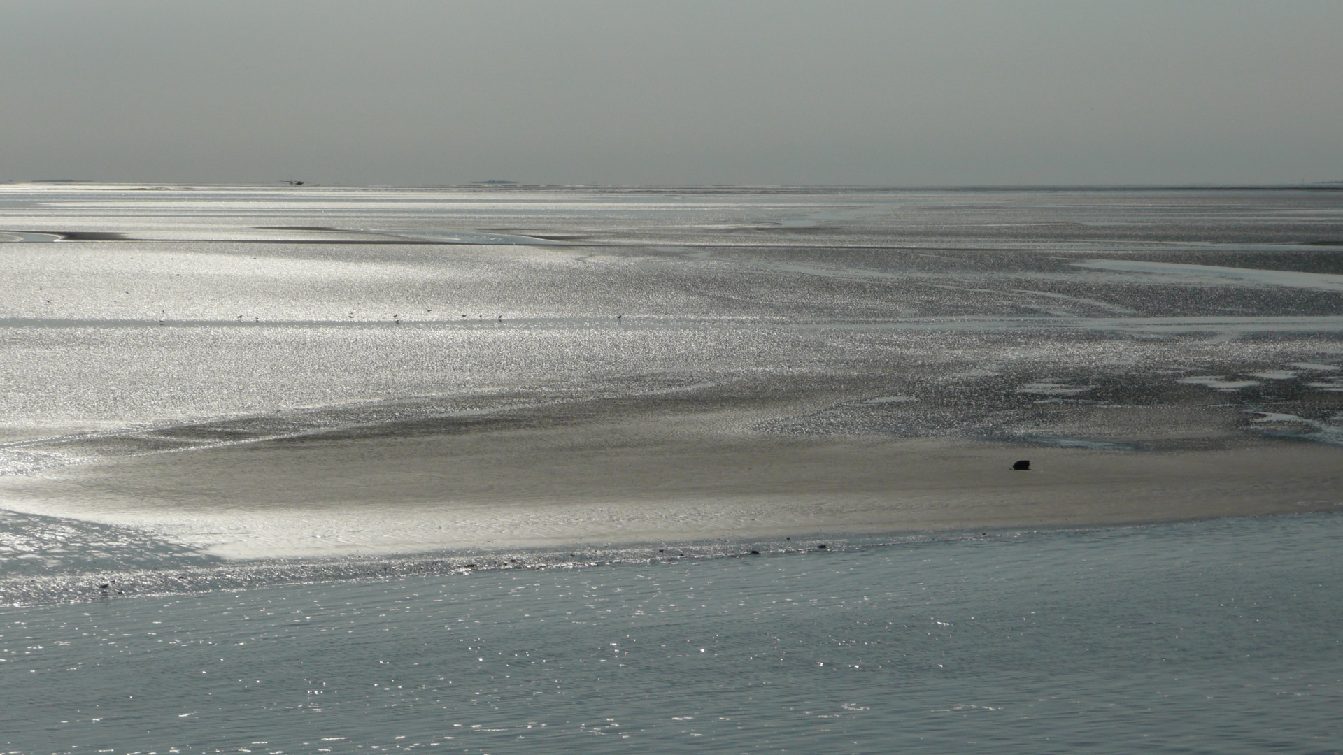 Fähre Norderney