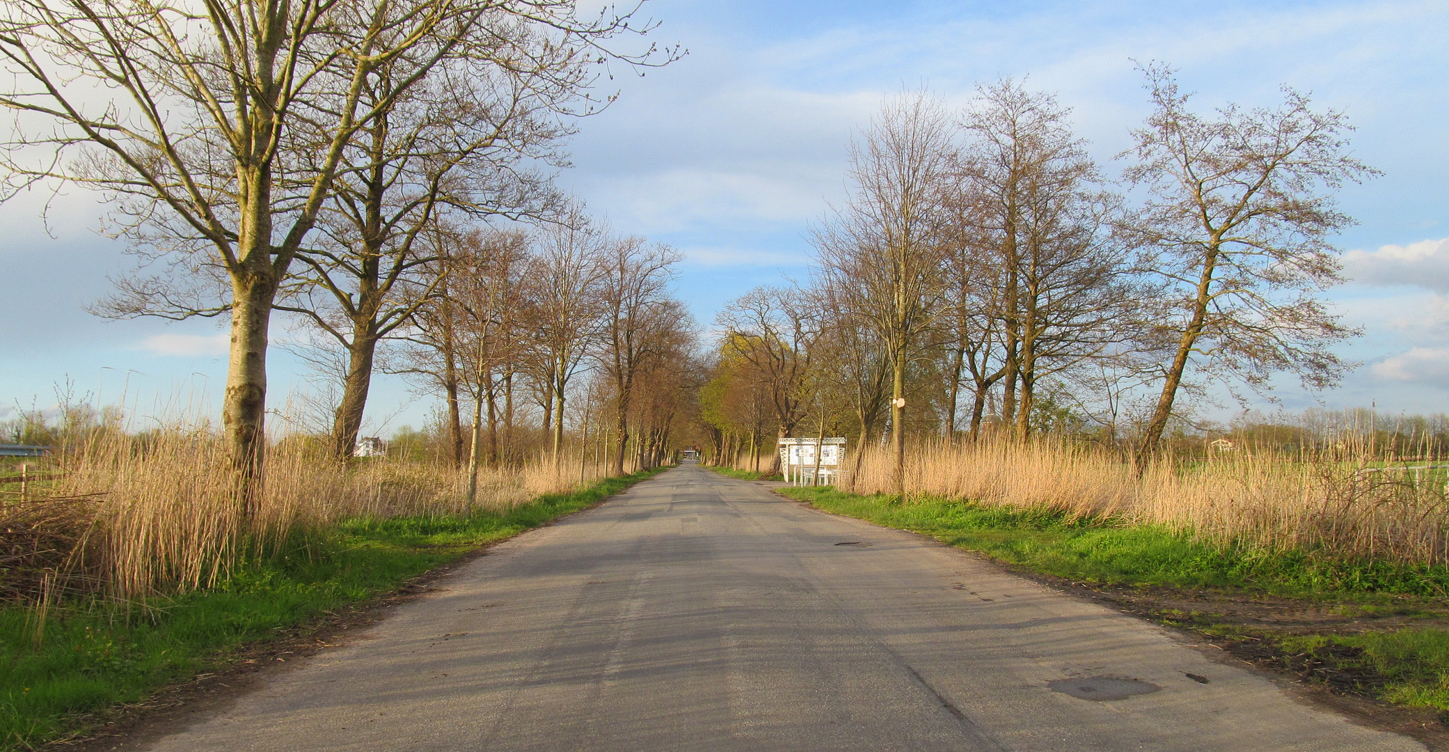 Fährstaße im Frühling ... 