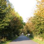 Fährstraßen Allee in Hemmoor ... 