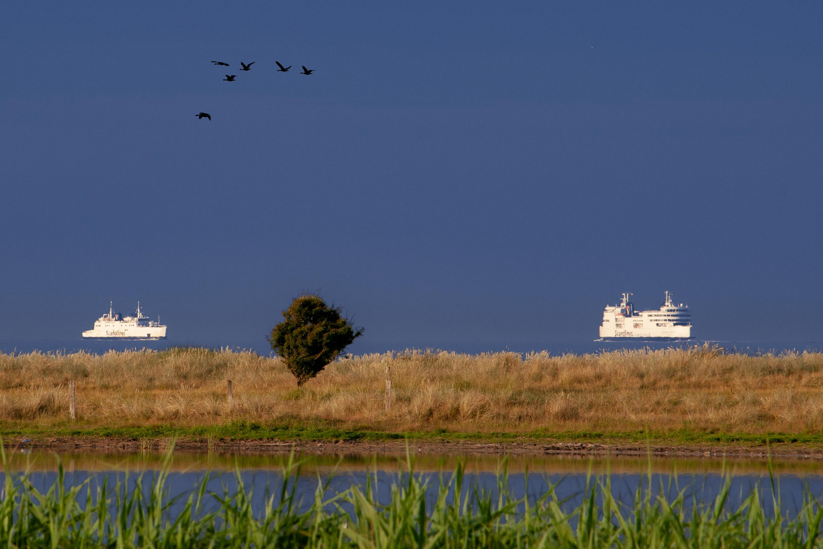 Fährverkehr zwischen Fehmarn und Dänemark 