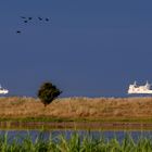 Fährverkehr zwischen Fehmarn und Dänemark 