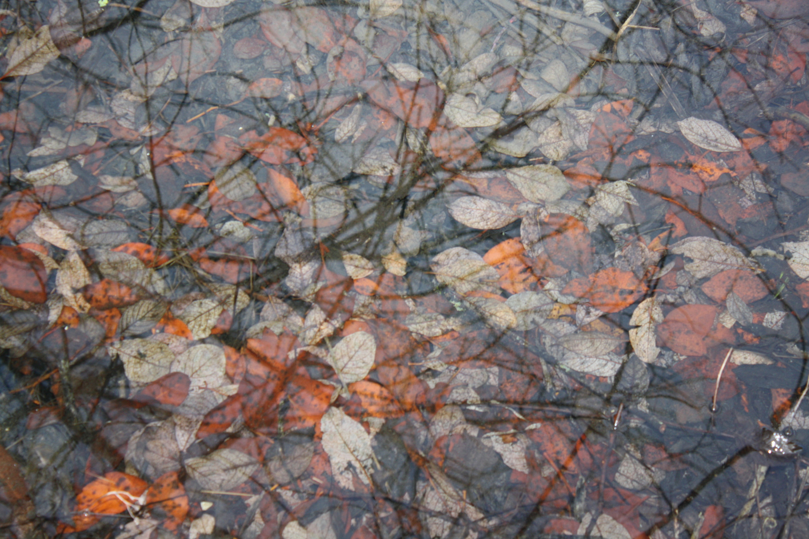 Fällt der Herbst ins Wasser...?