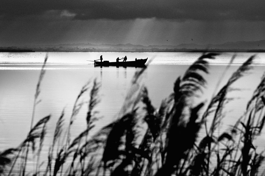 Faenar. ALBUFERA VALENCIA