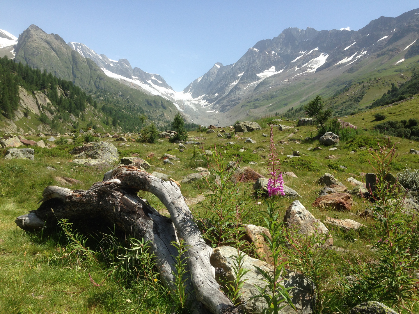 Fafleralp, Lötschental/CH